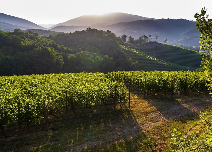 Panzió Tinello San Urbano Prepotto