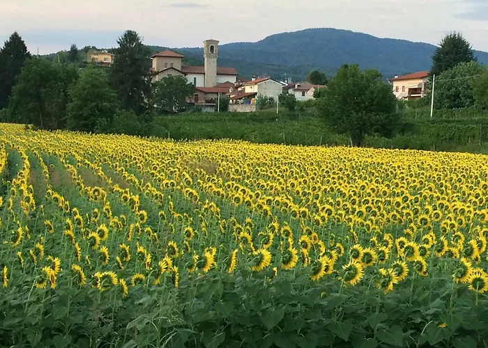 Tinello San Urbano Prepotto